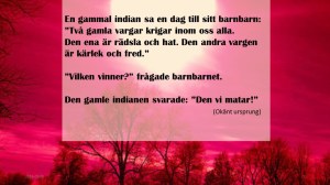 Bild1