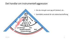 Bild11