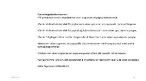 Bild29